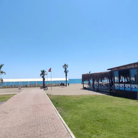 فيلة Akdeniz *